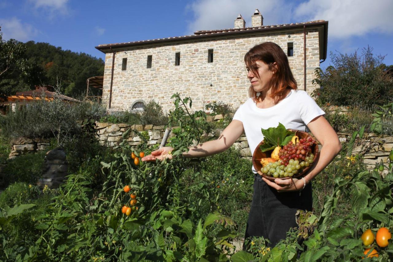 Agriturismo Biologico Autosufficienza Bagno di Romagna Extérieur photo